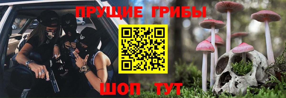 Псилоцибиновые грибы прущие грибы Павловский Посад