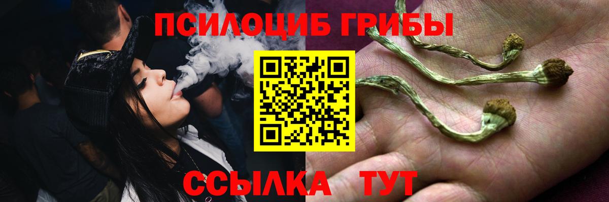 Галлюциногенные грибы Cubensis  сколько стоит  Павловский Посад  Вход с VPN 